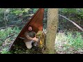 Camp Hack: Hang your Pack