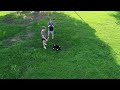 First Drone Flight with the DJI Mini SE