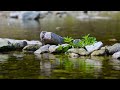Relaxing Piano Music, Calming, Relaxation Music, Meditation, Instrumental Sleep or Study Music