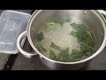 How to make Avocado Leaf Tea and Smoothie. Pear Leaves