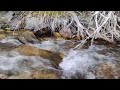 Creek water flowing over rocks - Enjoy the sound & beauty of nature 06.09.24
