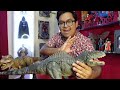 🟡Review & Unboxing GIGANOTOSAURUS HAMMOND Collection 😱 EL NUEVO MEJOR Dino?