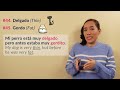 60 Spanish Adjectives: Describe (almost) anything in Spanish