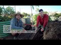 What Happens When You Bury Old Logs In A Raised Bed?