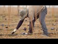 The hops that built craft beer – a documentary | The Craft Beer Channel