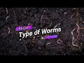 How to build a worm bin {Vermicomposting} | Simple D.I.Y + Care Guide | #wormcompost #vermicompost