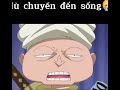 Những Khoảnh Khắc Hài Hước Trong One Piece {Tổng Hợp TikTok }☠ phần 1