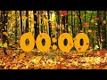 15 Minute Beautiful Fall Leaves Countdown | 🍂