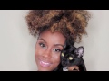 Quick & Easy Ultimate Puff Tutorial for Natural Hair | iknowlee