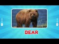 Guess The ANIMAL From SCRAMBLED LETTER - Scrambled Word Quiz 2024 - Brain Quiz