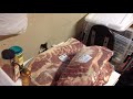 How to Dry, Cure and Smoke meat All in one video