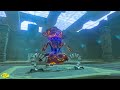 I Wish I Knew Earlier How to Parry/Flurry Rush in Zelda Breath of The Wild