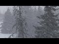 Relaxing Snowfall ~ Heavy Falling Snow & The Best Relax Music