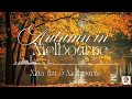 1 Hour Autumn in Melbourne (For Relaxing Sleep)  @motochangaming1340