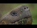 Equatorial Marvels - Explore Nature's most spectacular Landscapes | Full Nature Documentary