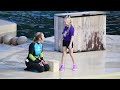 Dolphin Adventures (Full Show)- SeaWorld Orlando - January 30, 2024