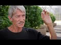 Memoirs of a Cannabis Breeder - Captain Jack (Documentary Interview)