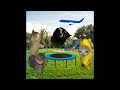 Baby Banana Cat Compilation 😺❤️ 2 Minutes #56