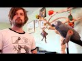 Scary Rock Bowl | Live with Apollo the Talking Parrot