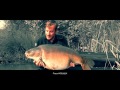 Slow motion Carp jump