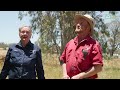 How a farming family adopted conservation to grow a high-yielding crop | Boggabri, NSW