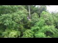 Jungle Flight With Ms Phiphawee