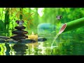 Relaxing Music for Healing | You Can Quickly go to Sleep in Peace and Peace of Mind,Meditation Music
