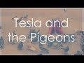 Nikola Tesla life story