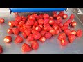 Amazing Fruit Processing Machines And Processes