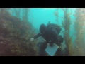 Restoring Southern California's Kelp Forests | SoCal Connected | KCET