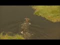 The Creepy & Bizarre World of the Okavango Delta | Free Documentary Nature