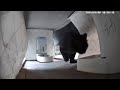 20240709  Full Version Cat in the yard #stray cat adoption #stray cats #cats #surveillance scene