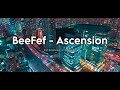 BeeFef - Ascension