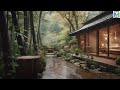 Rain Sounds for Sleeping, Soothing Rain Sounds, Rain Sound in a Forest