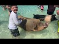 BUG HUNT in the OCEAN!! FAMILY FUN BEACH DAY! Caleb & Dad Play in The Sand and Find Sea Creatures!