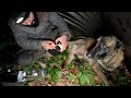 Winter Snowstorm Camping With My Dog | Bushcraft Survival, Stove Cooking, Nature Movie, Asmr