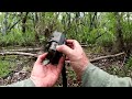 Tim Harrell - Bear Eating Trail Camera Pickup