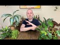 How To Choose & Create The Right Soil Mix | Houseplant Tips & Tricks Ep. 29