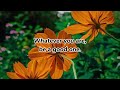 Beautiful Short Quotes | Life Lessons| Facts of Life
