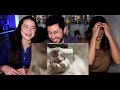 FUNNIEST DOGS & CATS | Awesome Funny Pet Animals Videos! | Reaction by Jaby, Natasha & Achara!