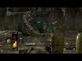 Dark Souls - How to Asylum Demon