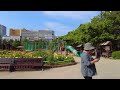 꽃의 여왕, 장미공원 [4K] 부산 북구 화명 장미마을 | Busan Korea