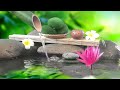 Nature Sounds 24/7 || Calm Music, Yoga, Relaxing Sleep Meditation, Spa, Study Music, Relaxing Music