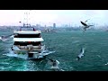 Beautiful & Largest City of Türkiye, Istanbul 🇹🇷 in 4K ULTRA HD 60FPS Video by Drone