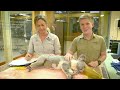 Robert Irwin's virtual Australia Zoo tour!
