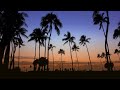 Aloha Breeze: Serene Hawaiian Melodies for Ultimate Relaxation ❤️️ RELAX, STUDY, SLEEP ❤️️