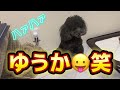 【犬】ワンちゃんに催眠術掛けて見ました