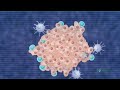 T-Cells and Cellular Immunotherapy Fighting Cancer Cells