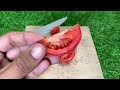 KNIFE Becomes Razor Sharp ! Sharpen Your Knife In 1 Minute With This Tool