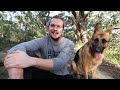 Going hiking with my dog | Sydney